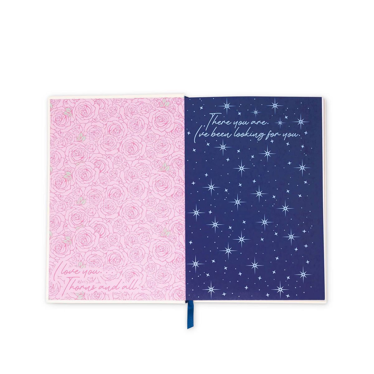 Leatherette Journal, Spring Court/Night Court
