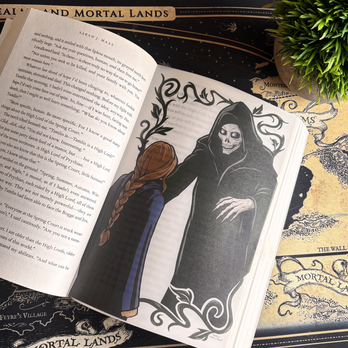 A Court of Thorns and Roses Book Scene Illustrations (6-Pk)