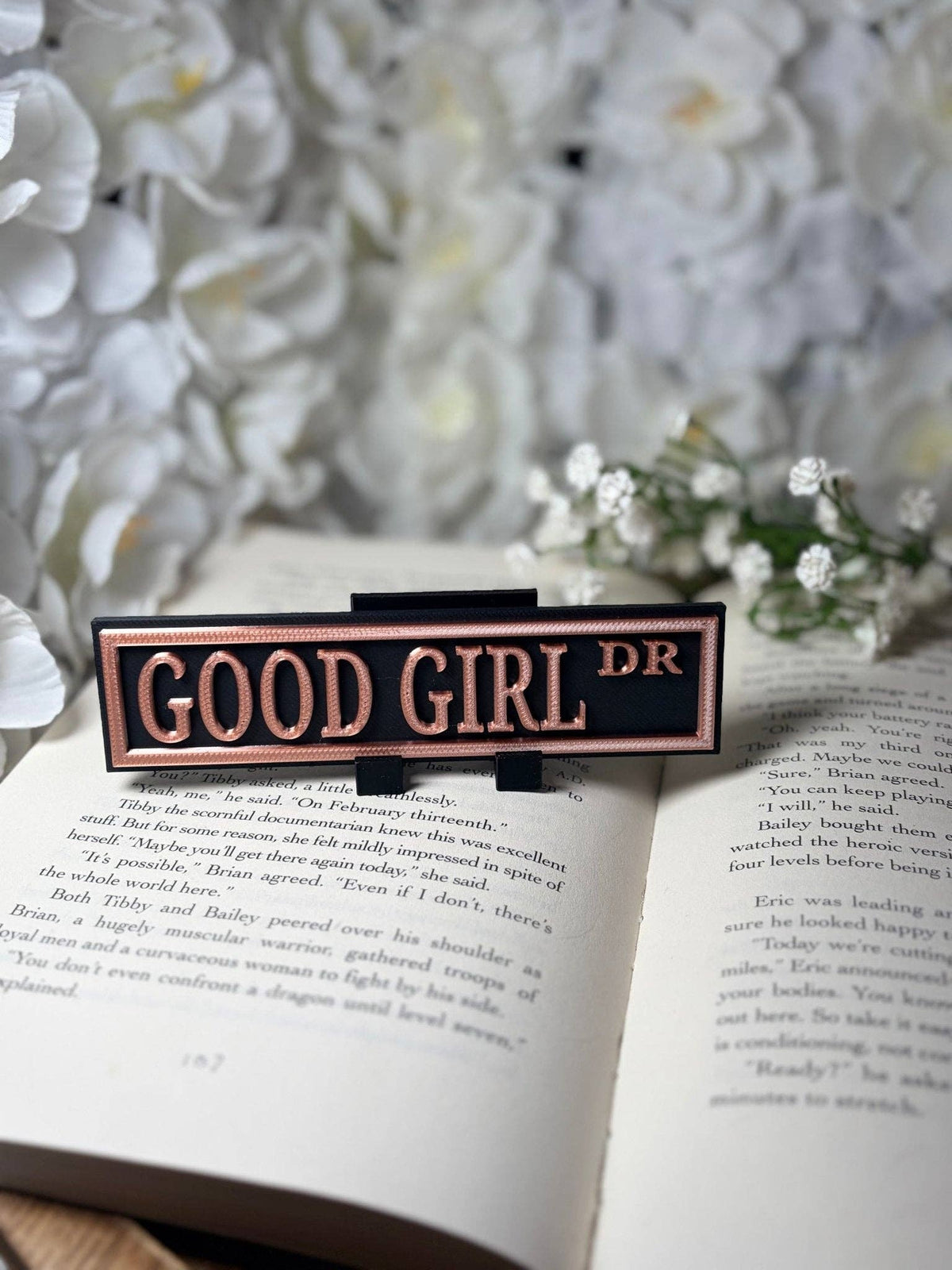 3d Printed Shelf Sign - Good Girl DR