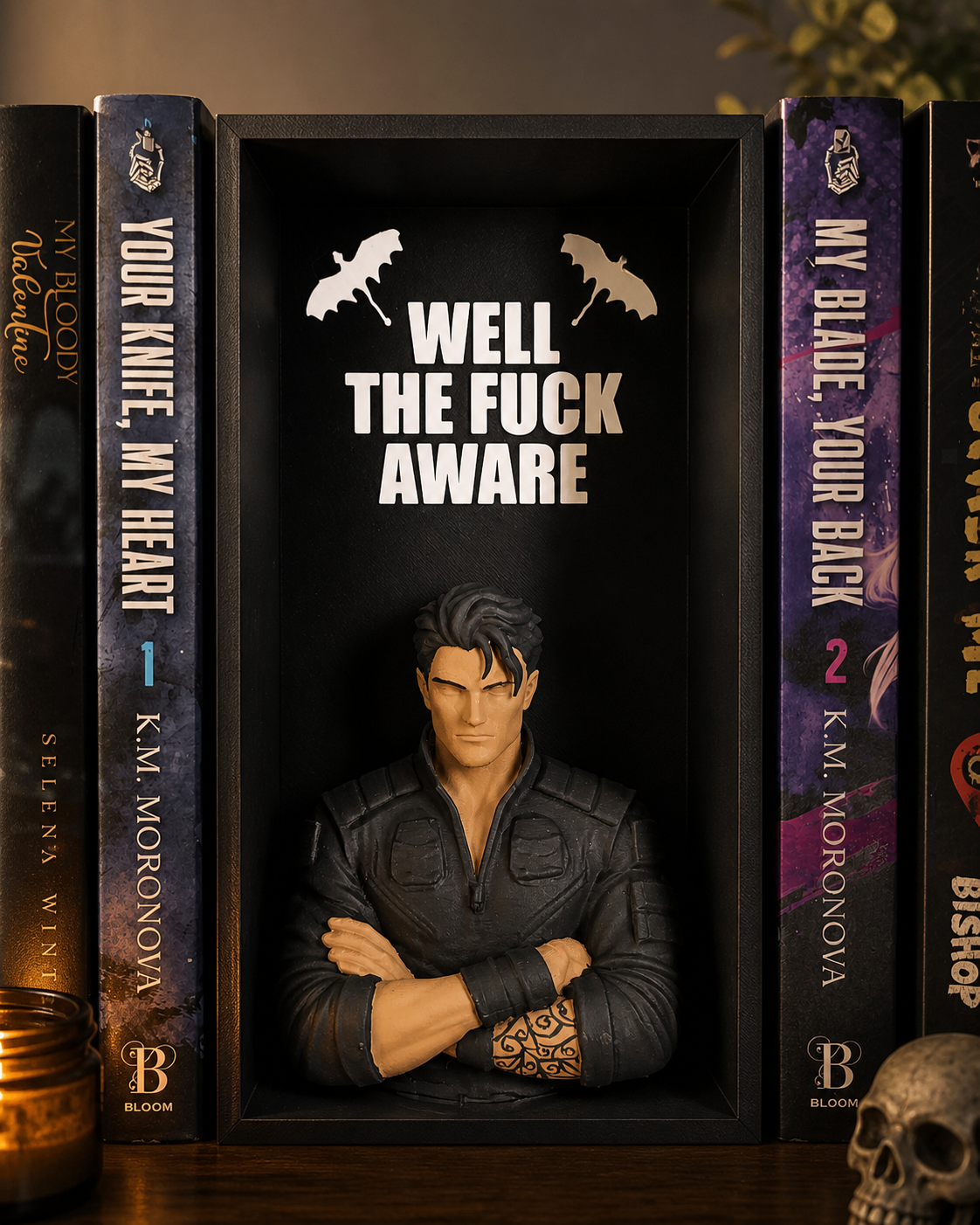 Xaden Inspired Book Nook