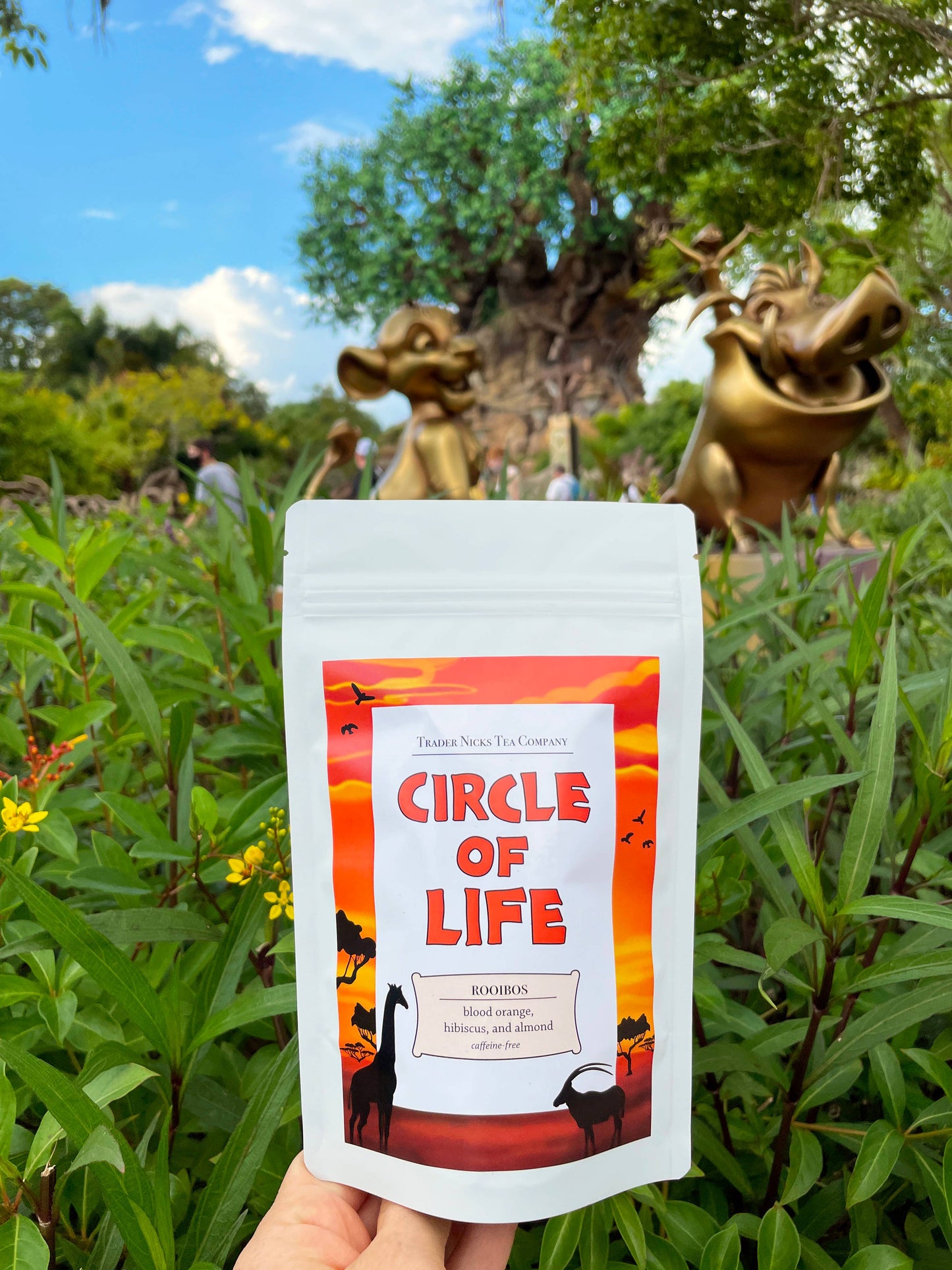 Circle of Life Blood Orange Rooibos