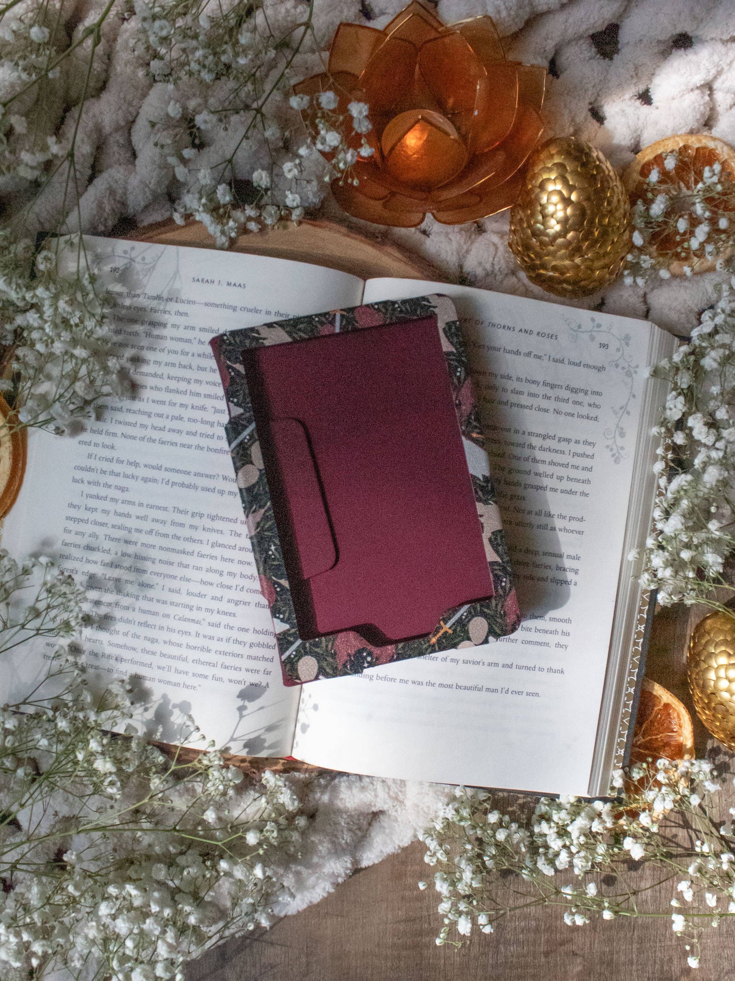 Kindle Case | Dragons Den