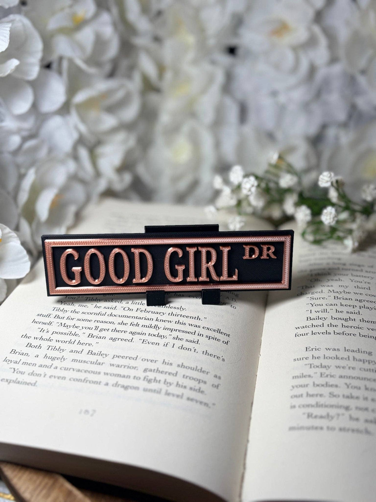 3d Printed Shelf Sign - Good Girl DR